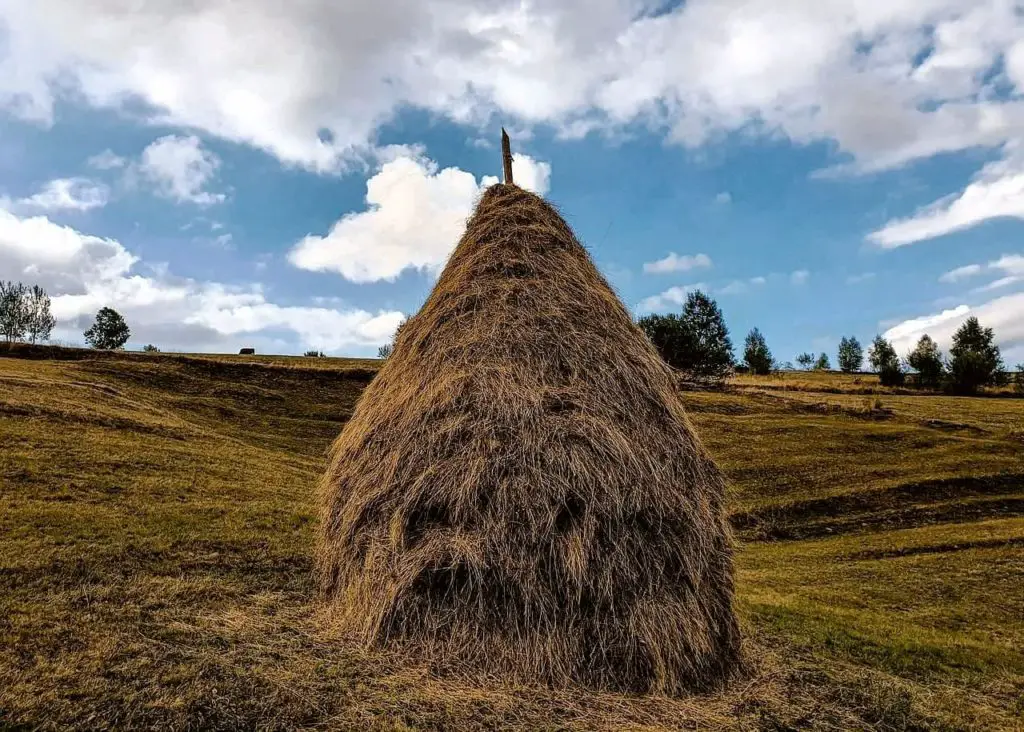 Typical haystack in Transylvania