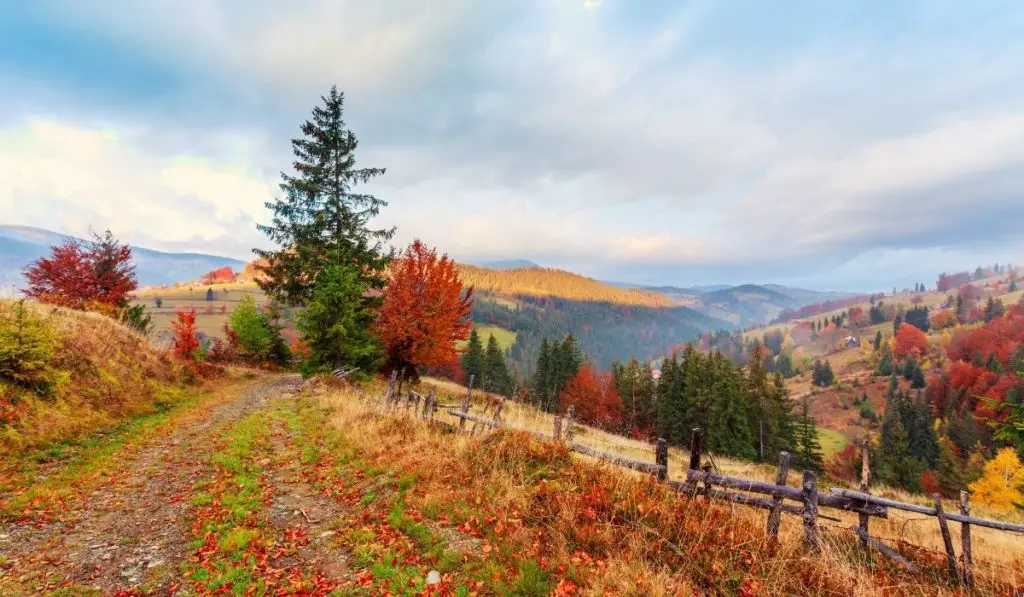 Transylvania landscape in autumn with colorful trees, rolling hills, and a few evergreens.
