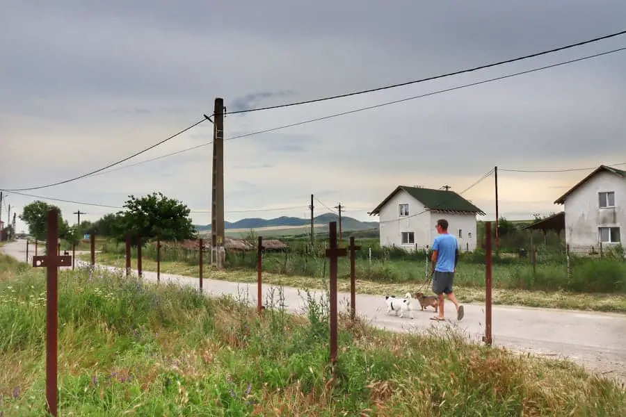Man walking with dogs on country road in Romania
