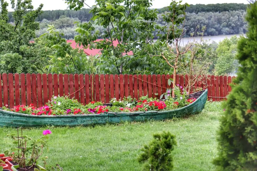 Flowers in bloom inside a boat on grass, yard decoration in Romania.