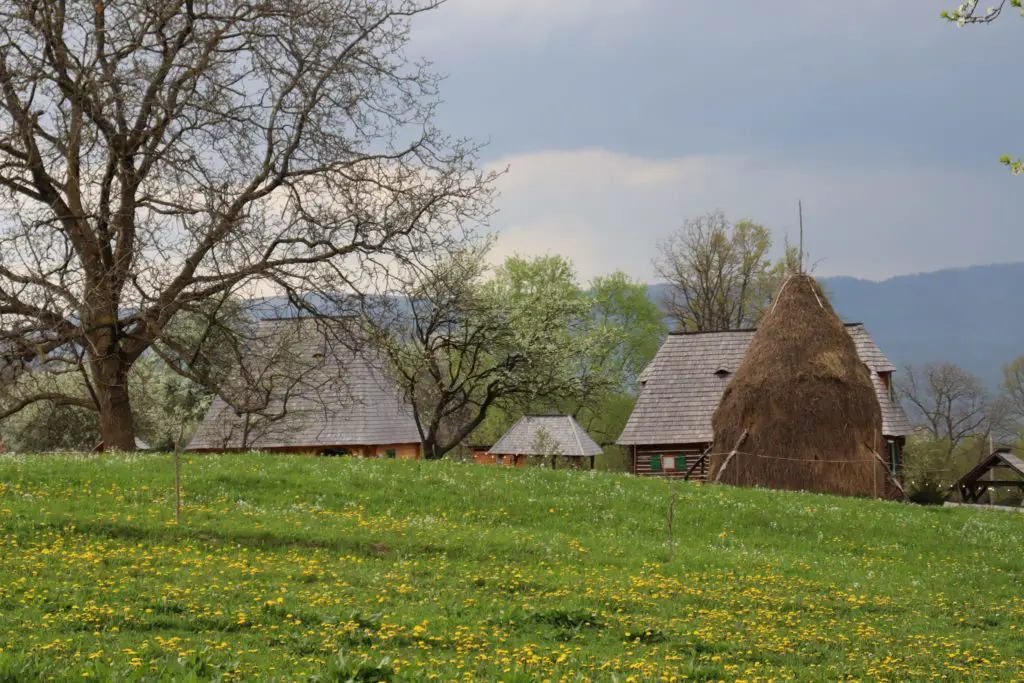 Small village houses in Breb with a field of yellow flowers in mid-Spring.