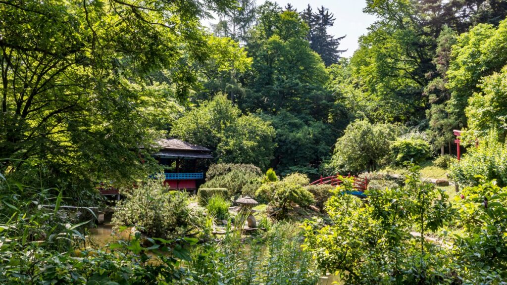 Lush gardens at Bluj Botanical Garden, one of the best things to do in Cluj-Napoca.
