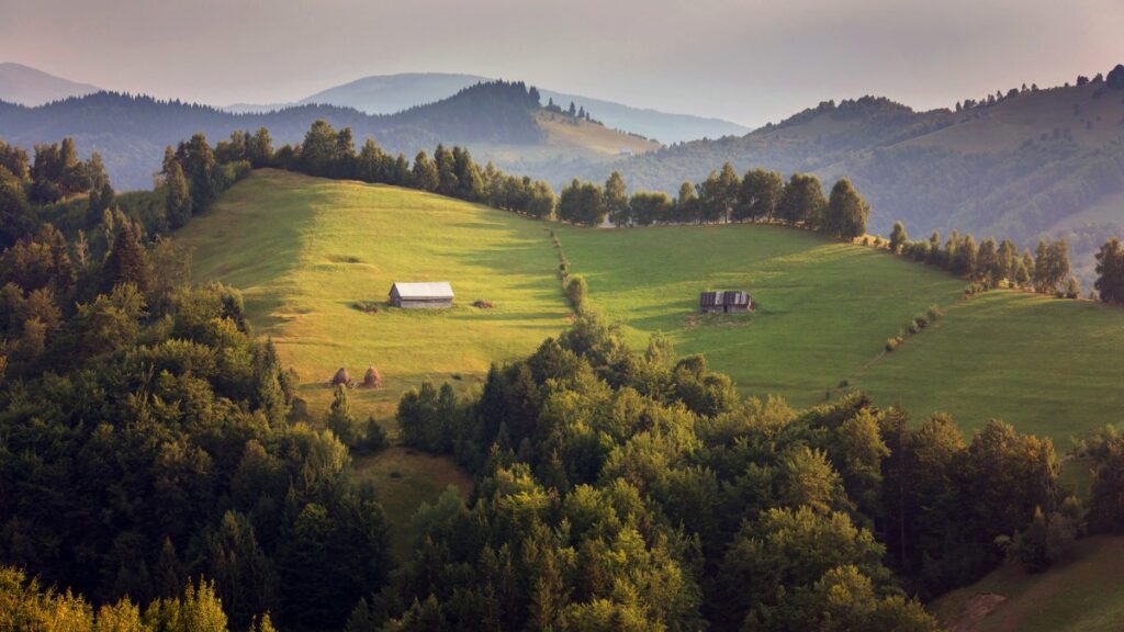 Rolling hills of a traditional Romanian countryside.