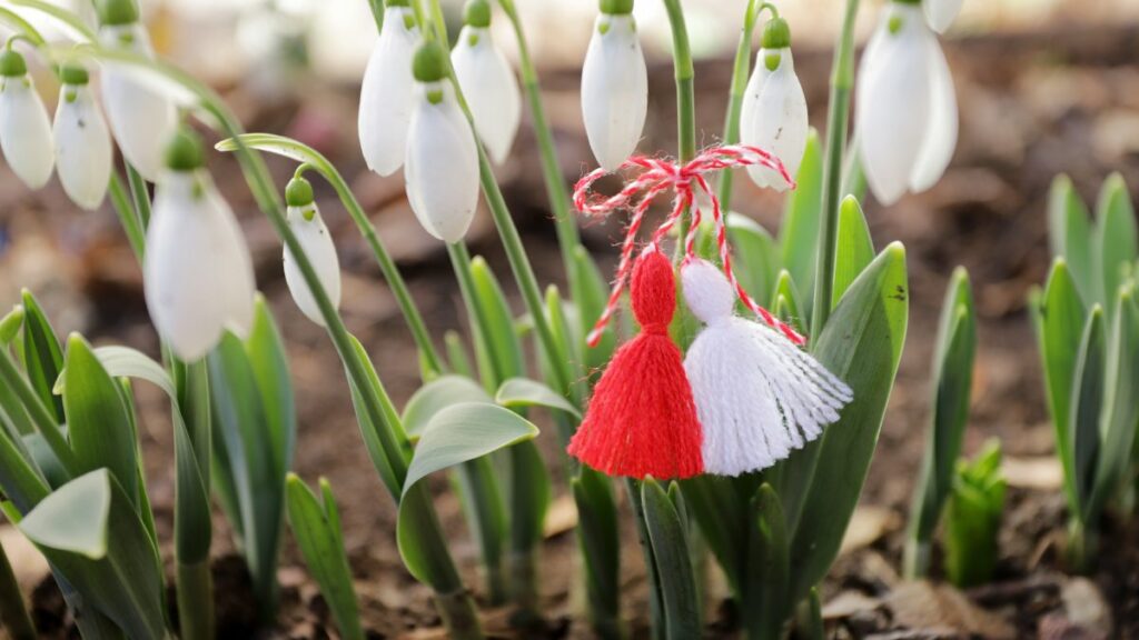 Traditional Romanian Martisor red and white bracelet hanging on white flower in spring.