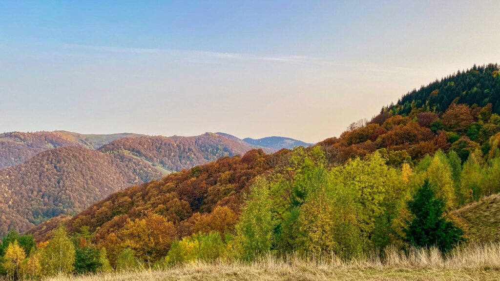 Tree-covered Cindrel Mountains in Transylvania