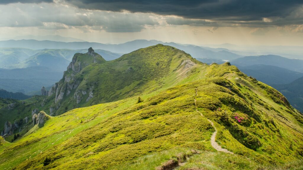 Lush mountaintops of the Bucegi Mountains in Romania