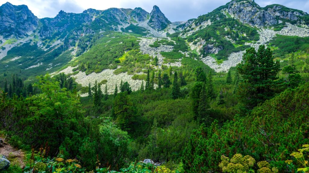 Mountain landscape in Retezat National Park