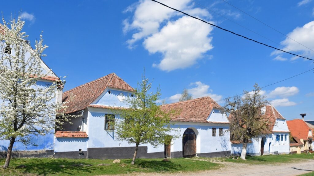 Pale blue houses of Viscri village