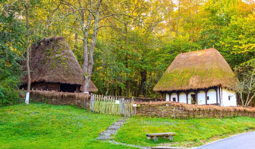 Traditional regional houses on display at Sibiu Astra Village Museum